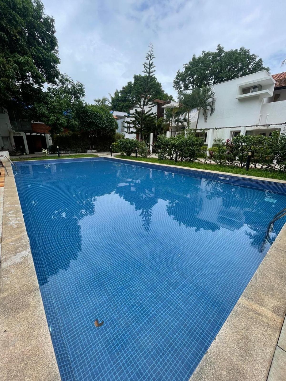 Villa M - Solitude 2 Candolim Goa 3Bhk, Pool Facing, Near Beach, Free Breakfast, Free Wifi And Prime Location Buitenkant foto